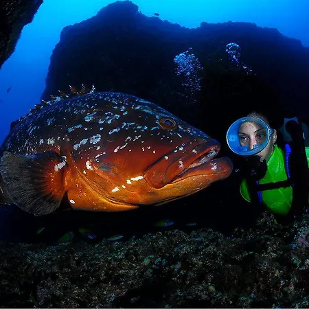 Dom Pedro Madeira 4*