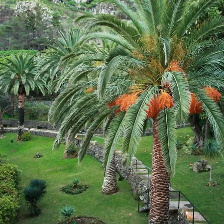 Baia Madeira Ξενοδοχείο