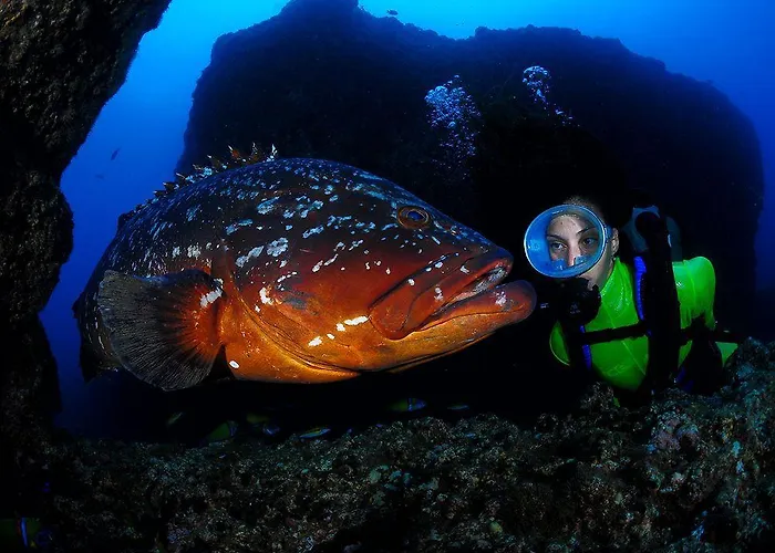 多姆佩德罗马德拉酒店 4*