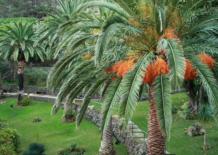 Dom Pedro Madeira Hotel